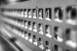 九游娱乐官方平台-体育产业对区域经济的带动作用研究,体育产业在国民经济发展中的特殊作用