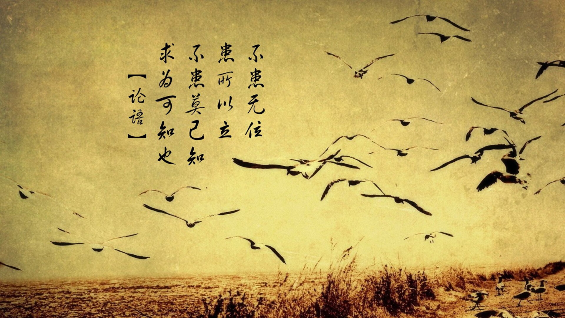 九游下载官网-世俱杯最燃瞬间：亚洲球队的逆袭佳话，世俱杯是什么水平